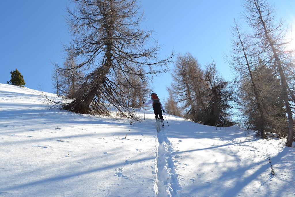 Gite Des Monges Sisteron Zewnętrze zdjęcie