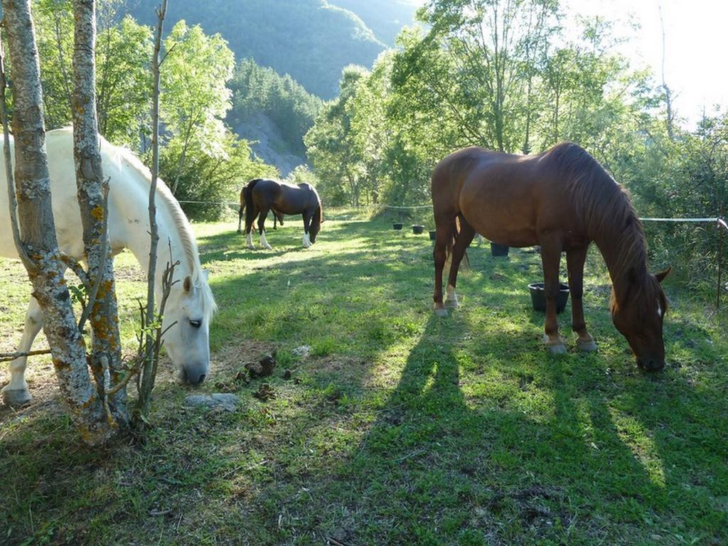 Gite Des Monges Sisteron Zewnętrze zdjęcie